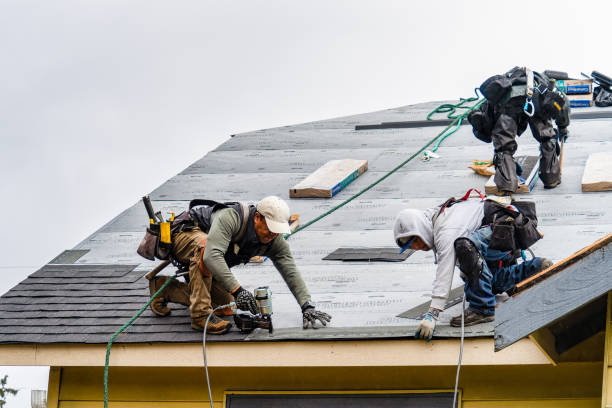 Professional Storm Damage Roof Repair technician working in Canby, MN